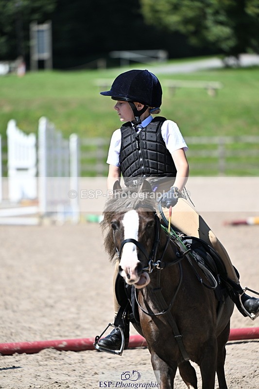 240729B-113511-02441 - Showjumping Competition