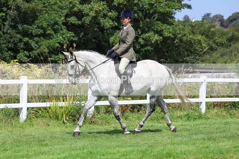 3E7A8689 - Class 5: Working Show Horse