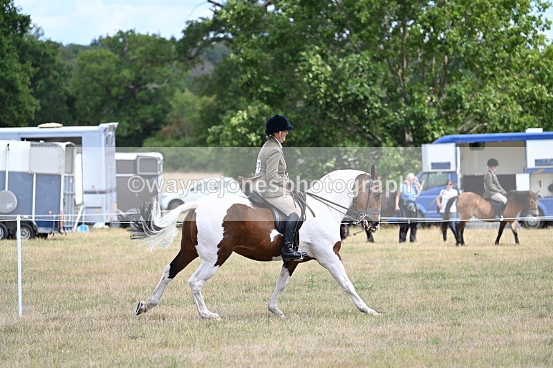 WJ7_5603 - Class 12 Ridden Cob