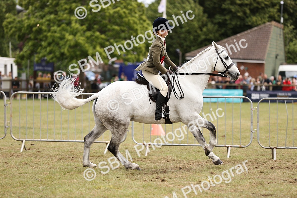 SBM_14819 - Class 88-89 - LIHS BSHA Rising Star of Ridden Hunter Type