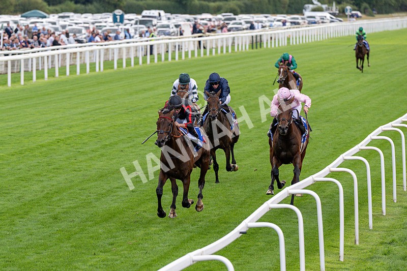 190826-Race 3-Maltese Cross-0326 - Race 3 15.00pm Sky Bet Great Voltigeur Stakes