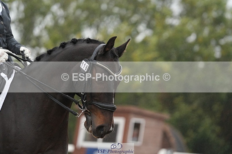 250907-142519-07762 - 116-Louise.CupittEnergiek.N