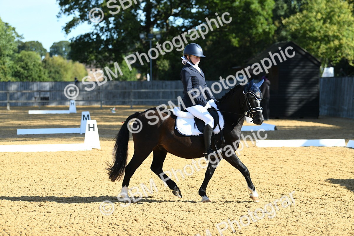 SBM_16301 - D4 - Small Tour Championship - Intro B