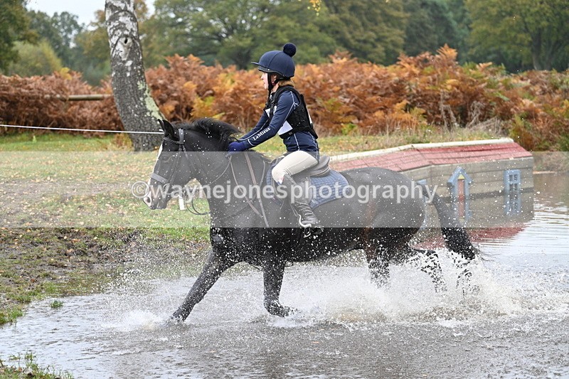 WJ7_1219 - 80cm Cam 2 Water Time 11:29 to 11:46