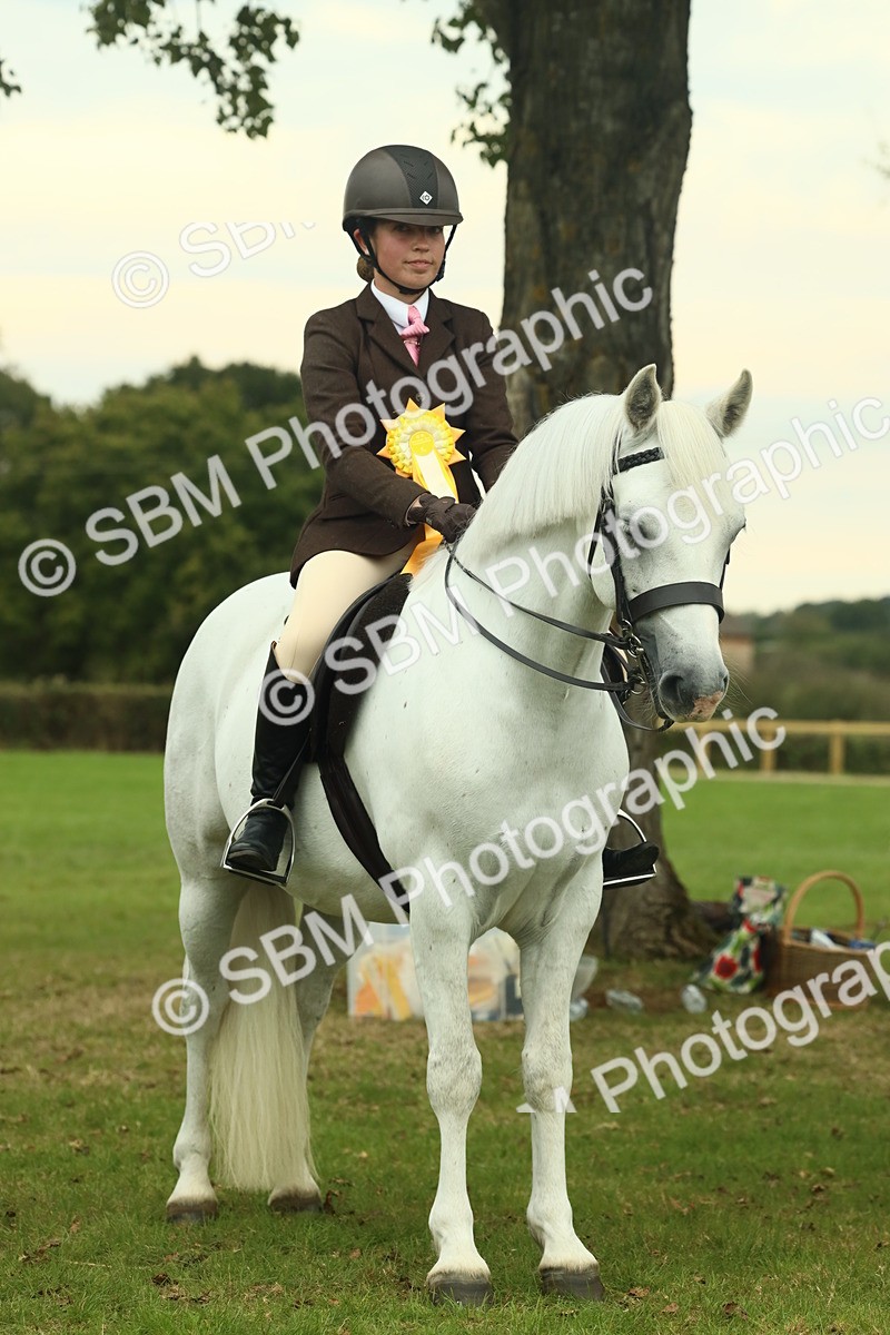 SBM_72327 - S60 - Mountain & Moorland Ridden Large Breeds