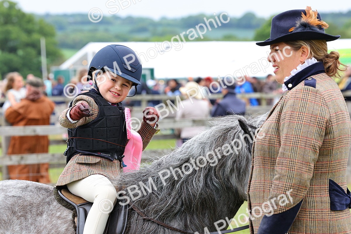 SBM_08395 - Class 42-43 - LIHS BSPS Heritage Working Sports Pony