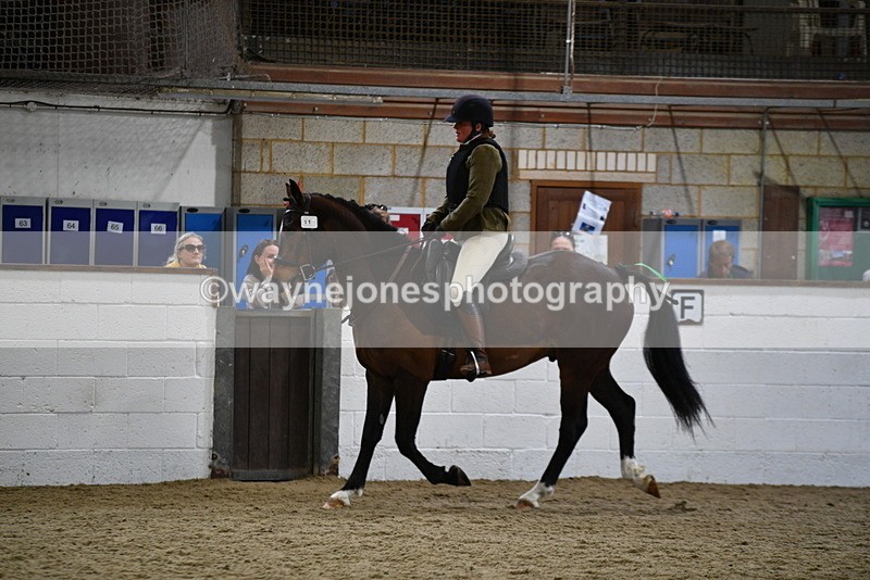 WJ5_7945 - Class 13 Ridden Part Breed