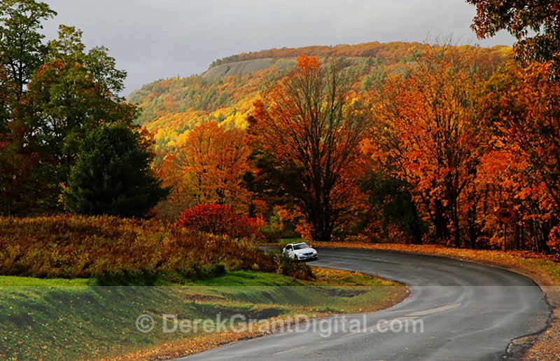 Awesome Autumn Foliage - Autumn Foliage