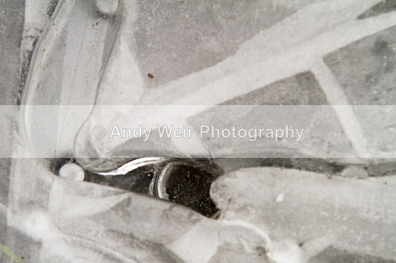 20121202-_MG_1757 - Miscellaneous Photographs