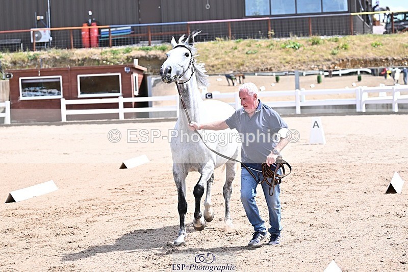 250716-124647-00162 - Trot Up 12.30 to 1.30