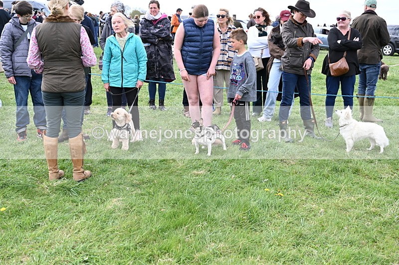 WJ6_8407 - Class 6 Best Rescue