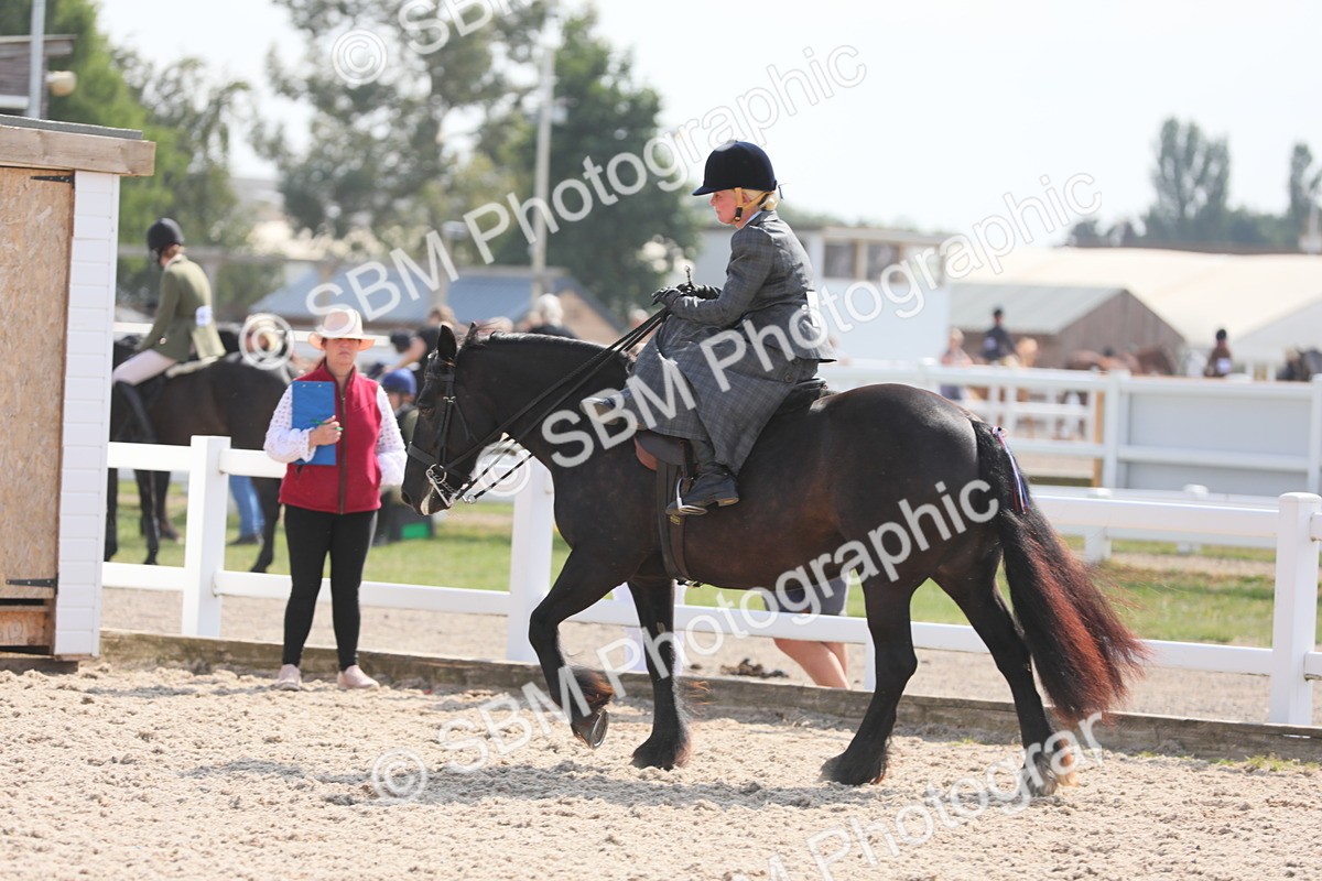 SBM_14581 - Class 211 Best Side Saddle Horse/Pony