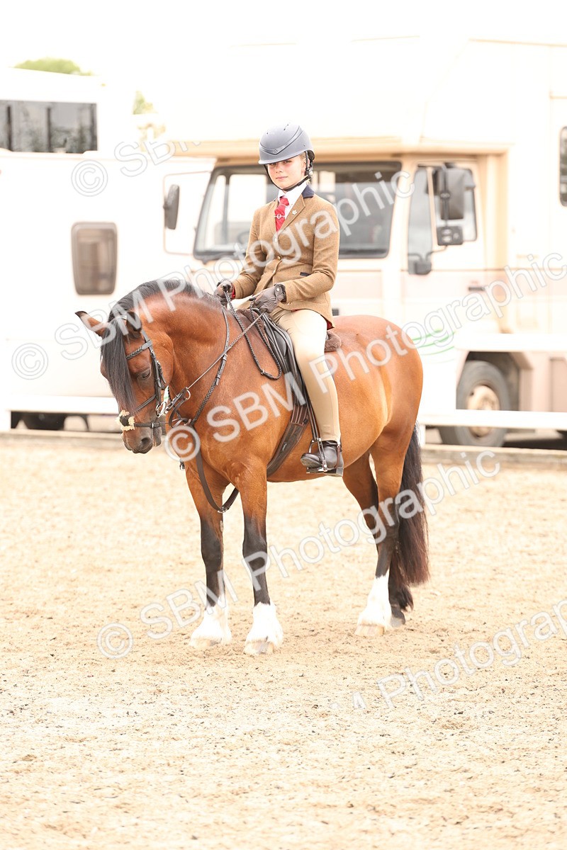 SBM_06268 - Class 57b -  Style & Performance - 60cm (20+)