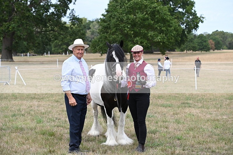WJ6_5825 - Class 18 In-hand Coloured
