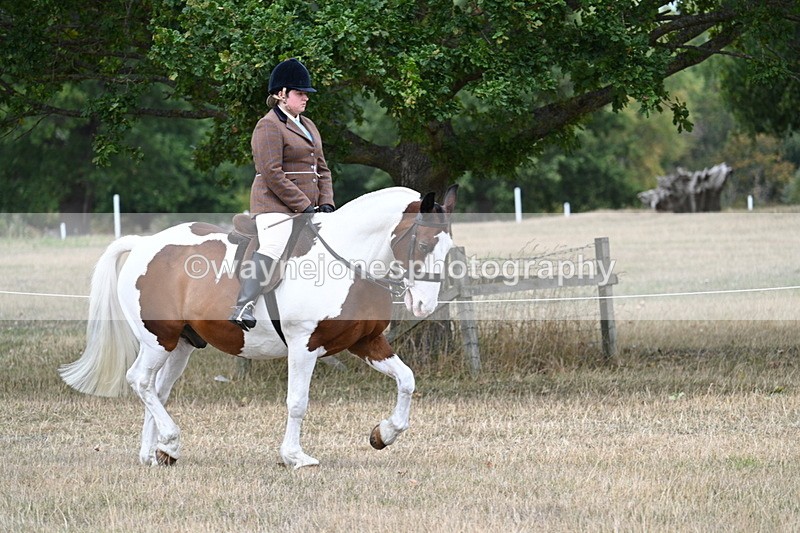 WJ7_4782 - Class 12 Ridden Cob