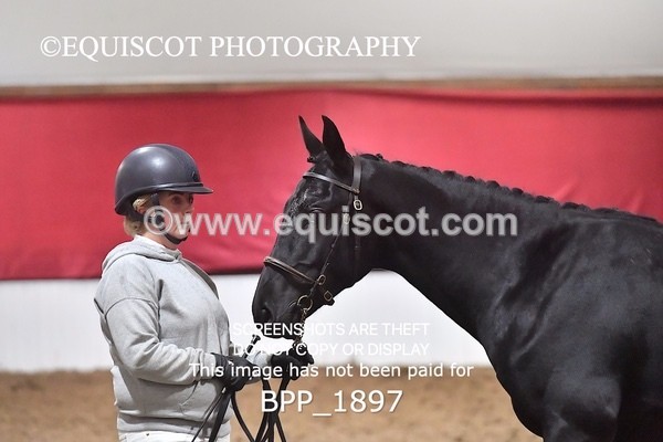 BPP_1897 - AFTERNOON 12.30 - 3.30PM