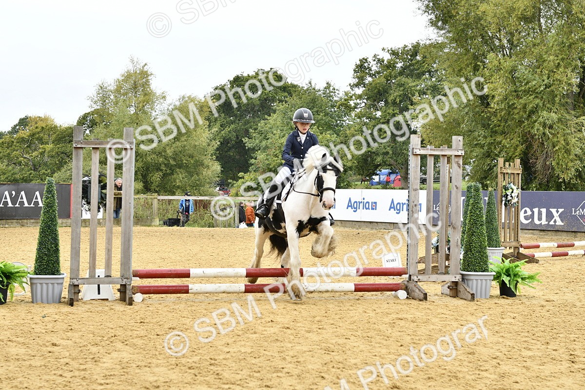 SBM_57251 - J61 - Mini Clear Round 30cm & 40cm