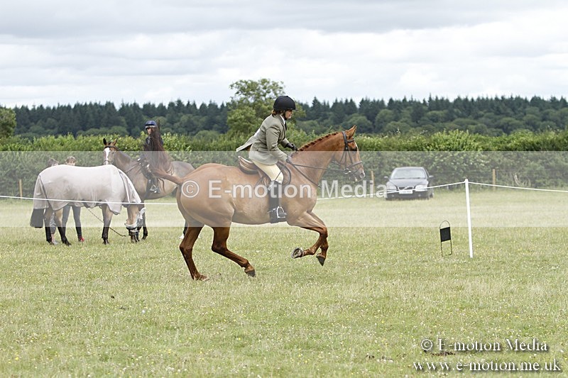BVR160717-2244 - Ring 3 BVRC Show 16/07/17