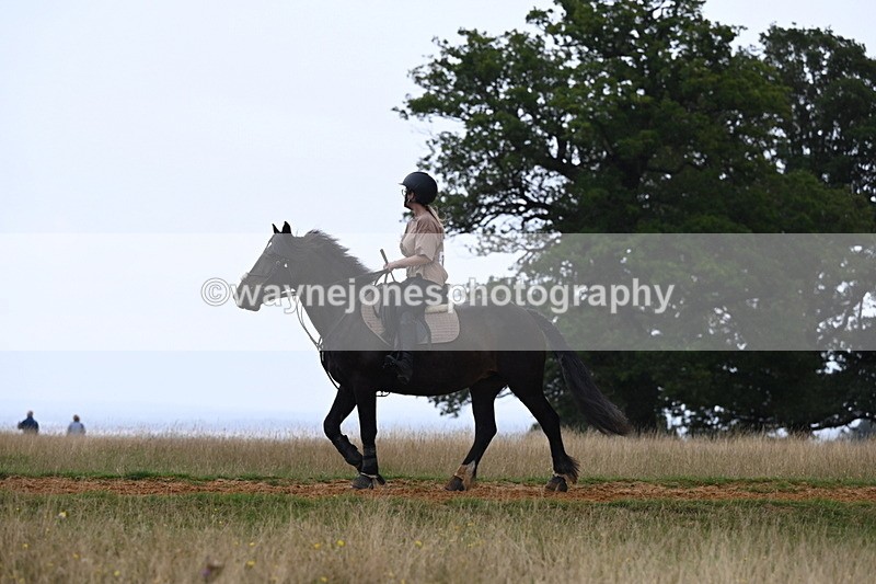 DSC_8349 - Time at Statue 13:52 to 14:33