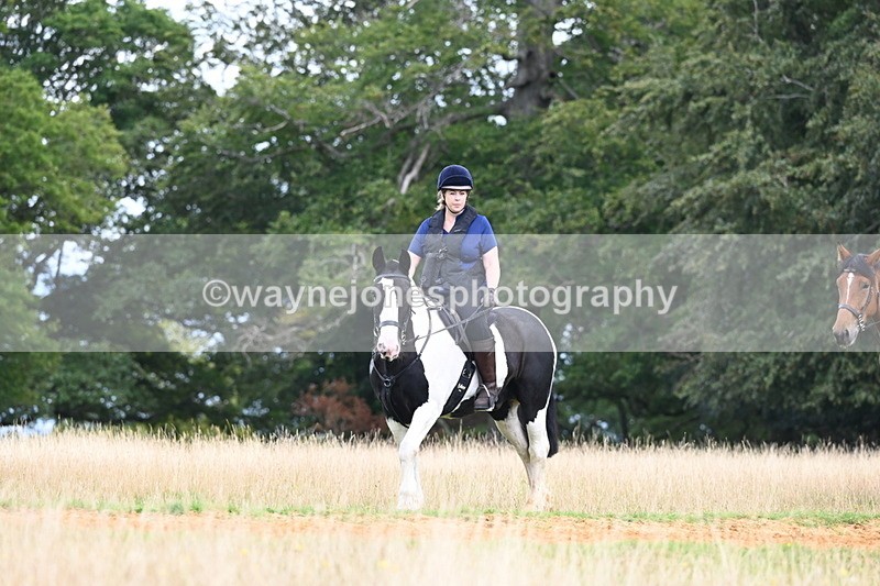 DSC_7842 - Time at Statue 13:16 to 13:52