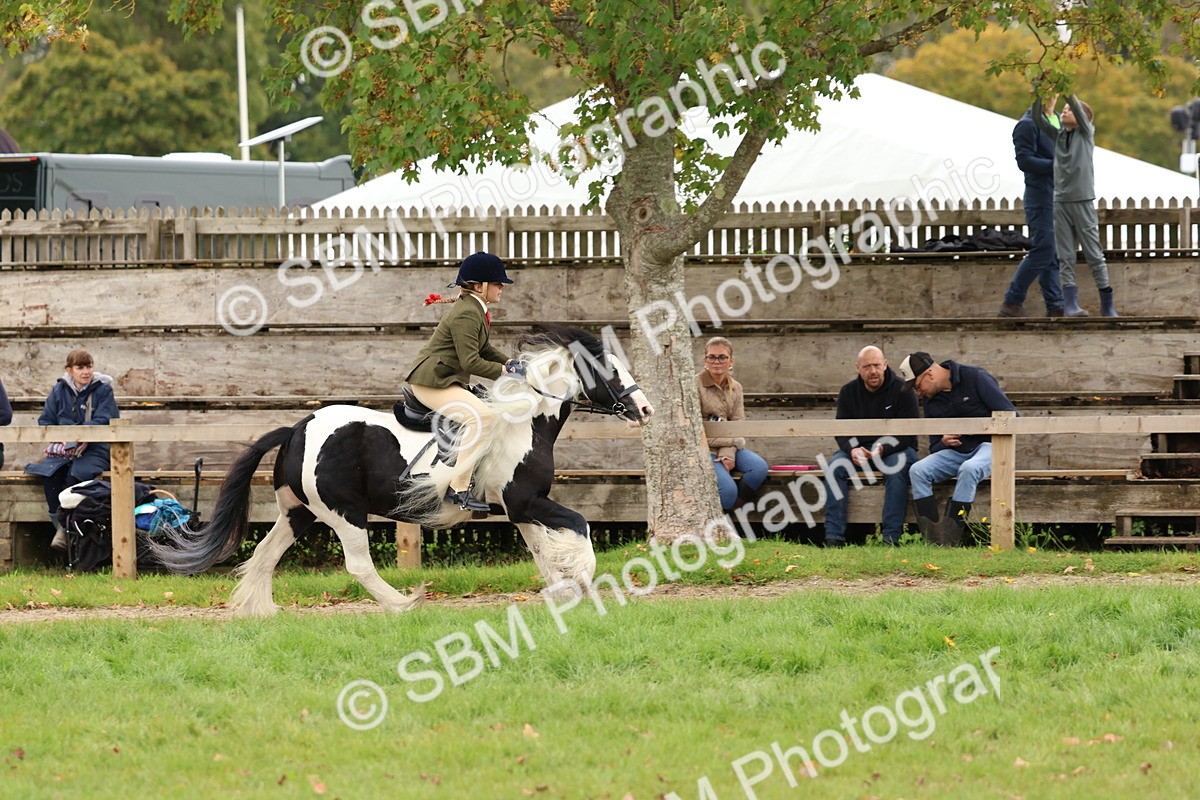 SBM_64523 - S58 - Coloured Pony Ridden