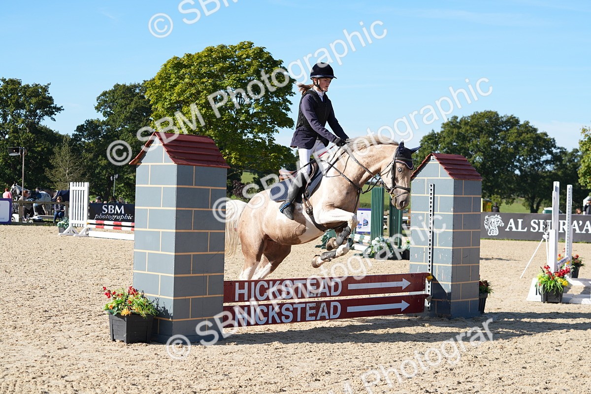 SBM_36125 - J 20 - Junior Horse 50cm Championship