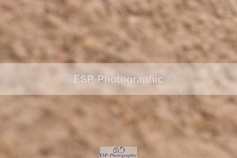 240121A-100330-00336 - Cls 2 Prelim 17A