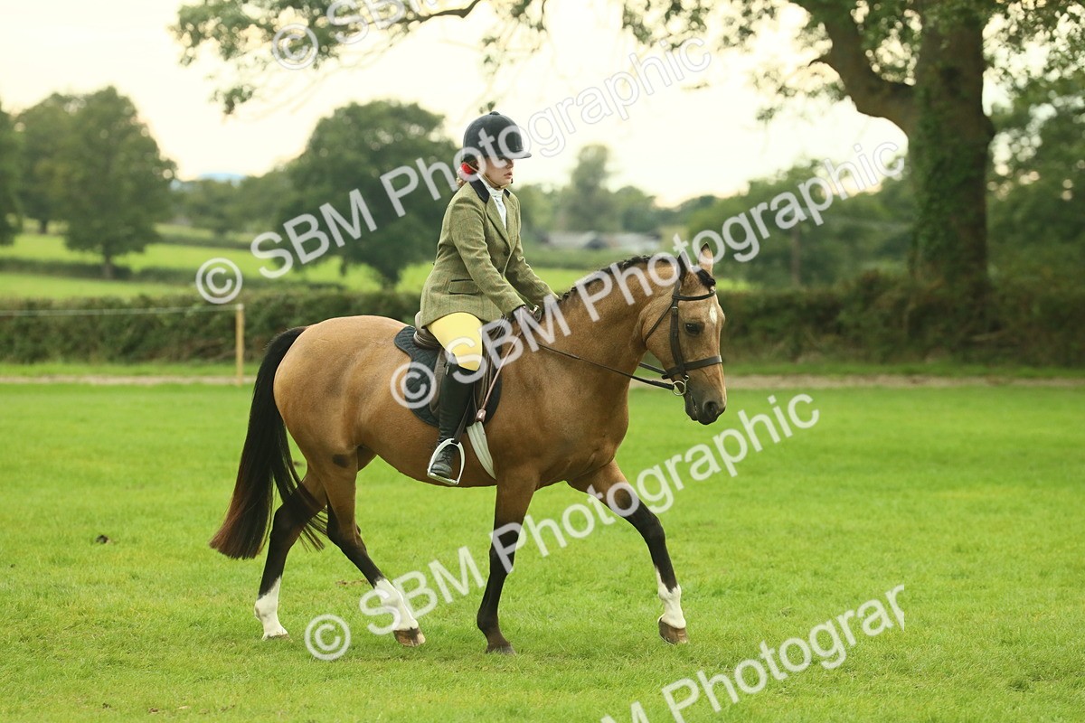 SBM_73917 - S 61 - Show Pony & Show Hunter Pony Ridden