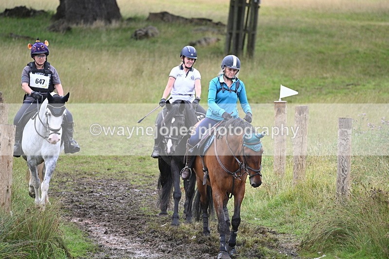 WJ7_2657 - Time at Water 11:37 to 12:13