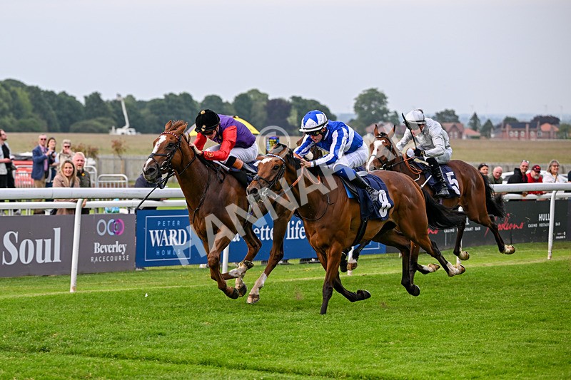 160626-Race 2-Lorcas Waltz-3840 - Race 2 19.00pm Connexin Ultrafast Maiden Stakes