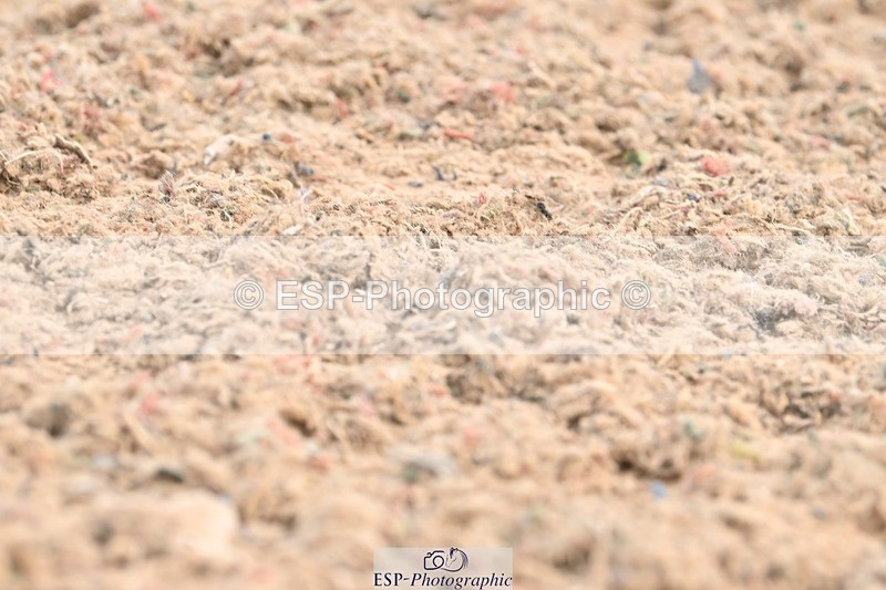 250620-100736-01692 - BD Cls 2 - Preliminary 6, 9.50am to End