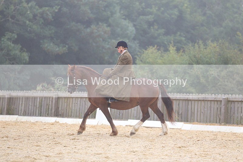 3E7A6901 - Class 5: Prelim to Music