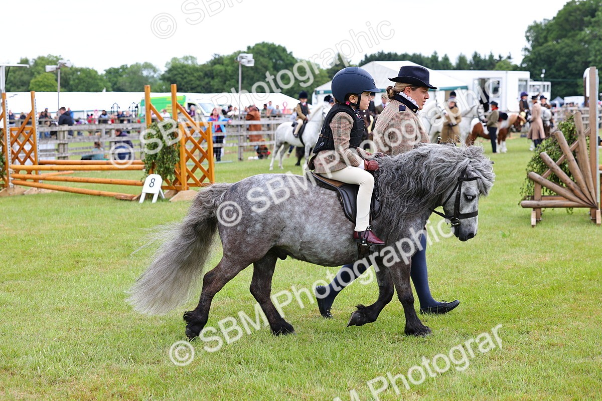 SBM_08115 - Class 42-43 - LIHS BSPS Heritage Working Sports Pony