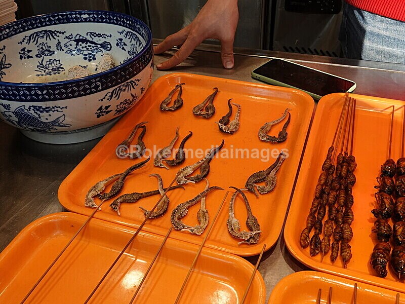 CHINA__1281 - China 2019