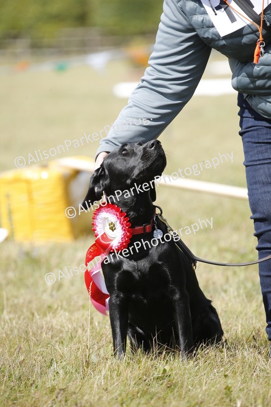 20250831-3822 - Dog Show