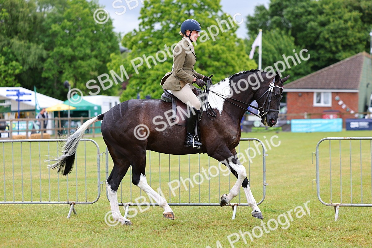 SBM_02495 - Class 9-11 Side Saddle including LIHS Rising Star Ladies Show Horse