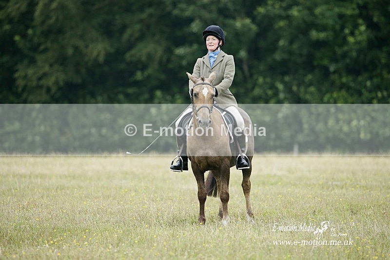 BVRC 030721 529 - Bourne Valley Riding Club Dressage 03/07/21
