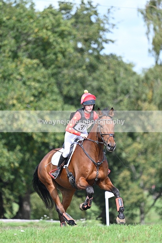 WJ7_1494 - Time 12:34 to 13:16