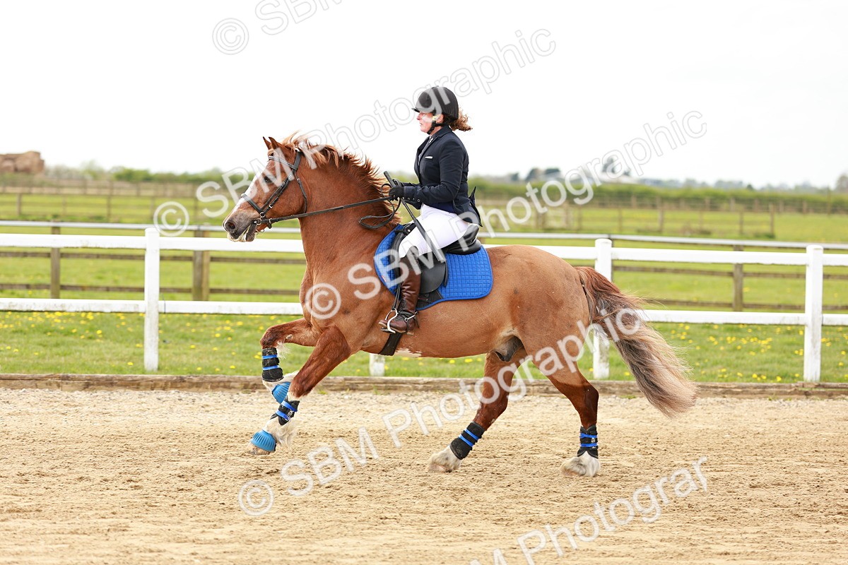 SBM_003987 - Class 3 - 60cm