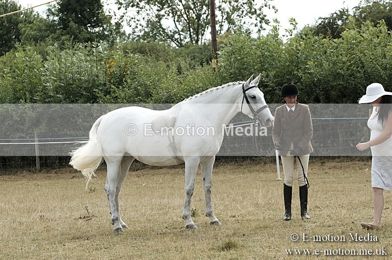_PJP6030 - BVRC Show 2018 Ring 1