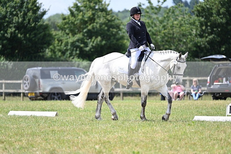 WJ7_4930 - Time 11:22 to 11:51