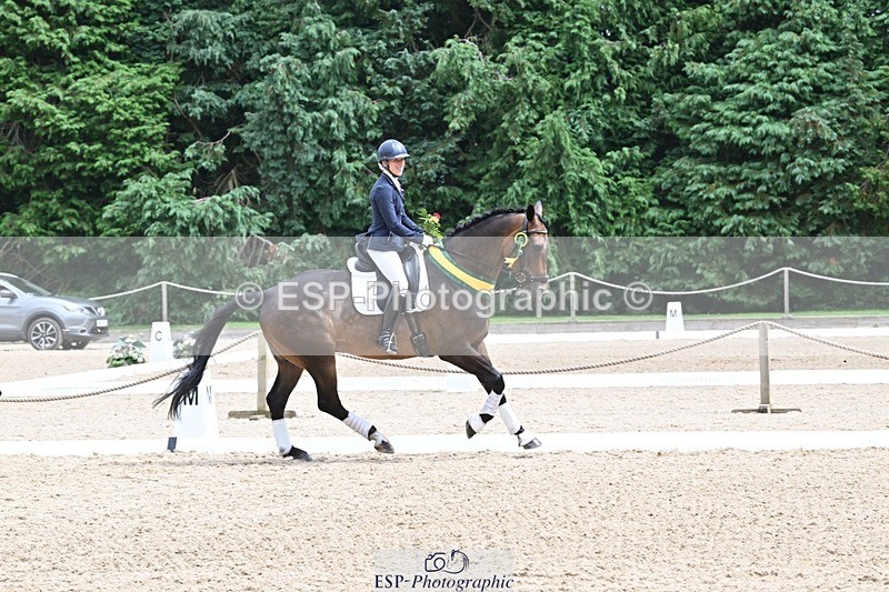 240811-132438-05962 - Medium Silver