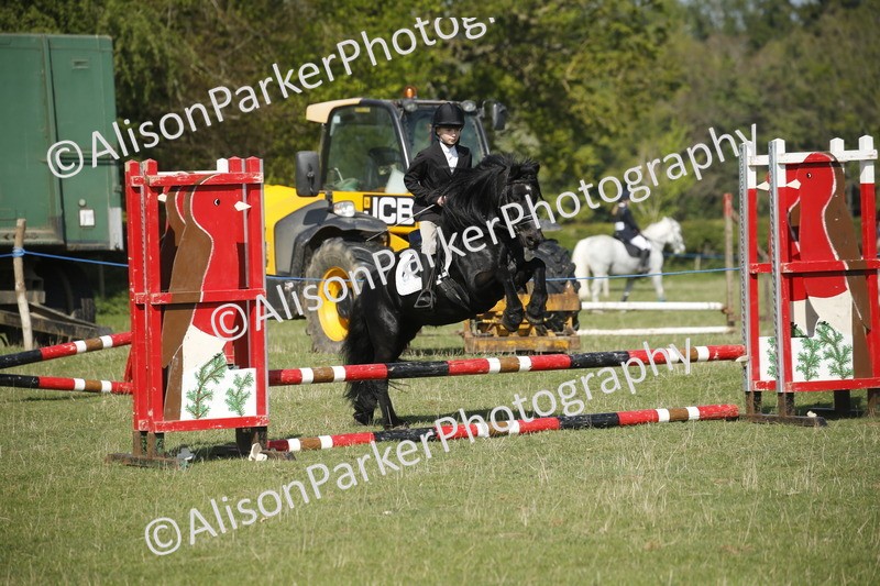 20250427-0397 - Class 12 - Rookie Jumping 40cm