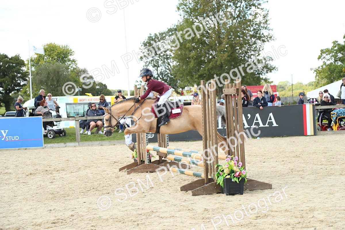 SBM_39482 - J6 - Junior Pony 55cm Championships