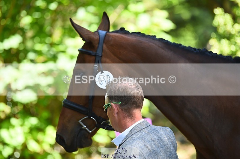 230524-151108-00113 - 312-J'ADORE_SALSA-Michael_Owen-WEDTrotUp+DR