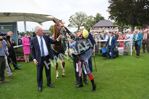 yr20082021r2-98 - Race 2 2.25pm Weatherbys Hamilton Lonsdale Cup (British Champion Series race)