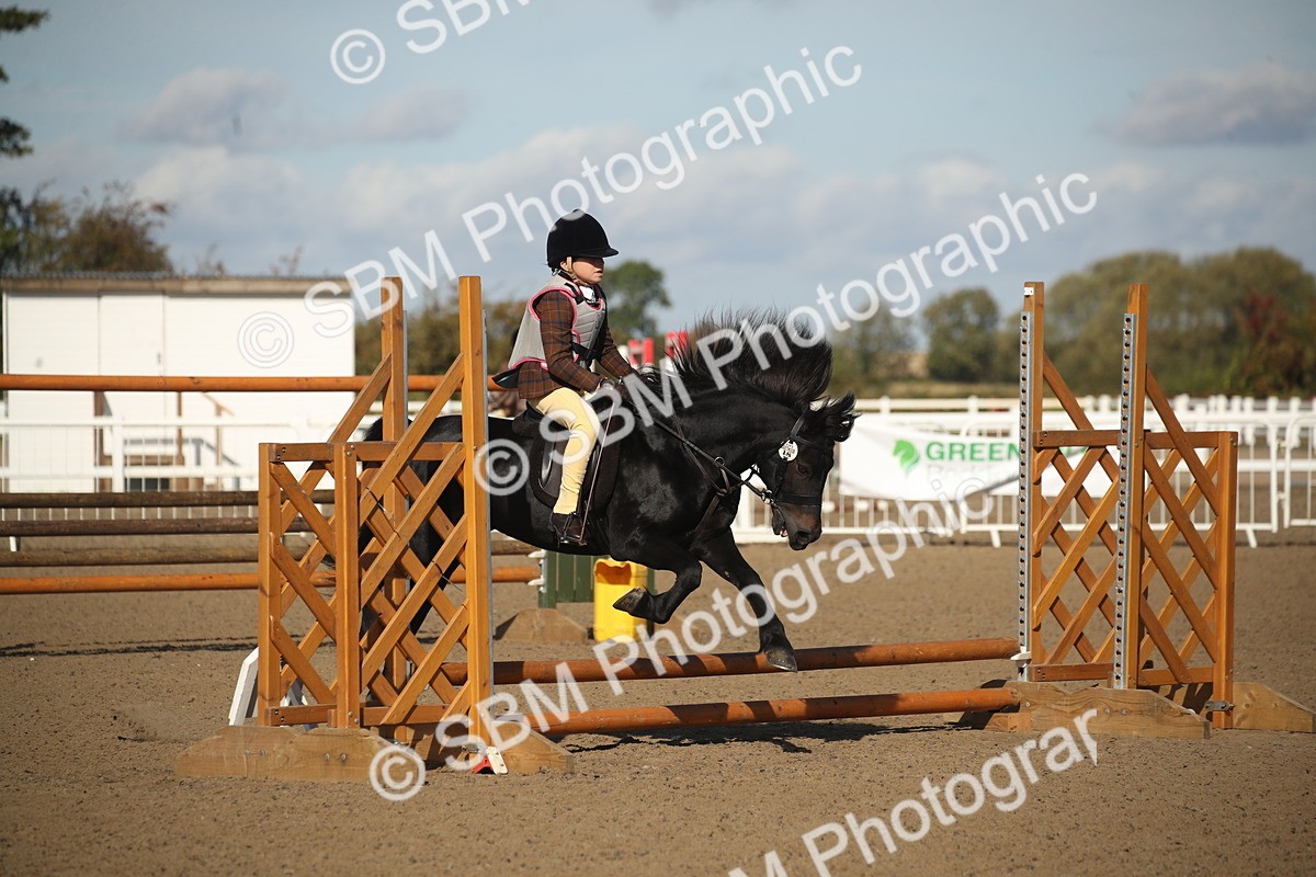 SBM_12692 - Class 504a - Junior Working Veterans - 40cm (15-19)