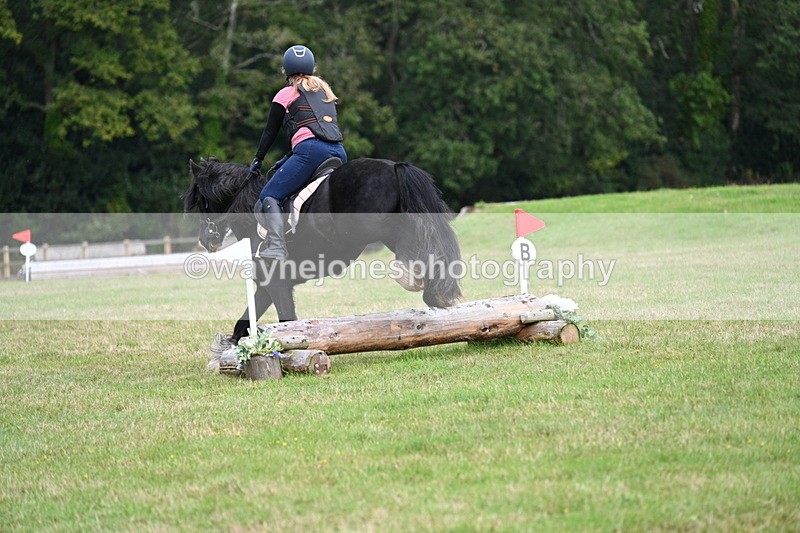 WJ7_7907 - 40cm Time 10:49 to 11:18