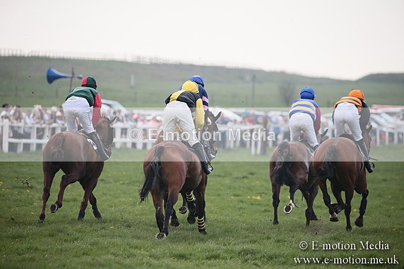 PtP 210418 356 - South & West Wilts Point-to-Point Larkhill 21/04/18