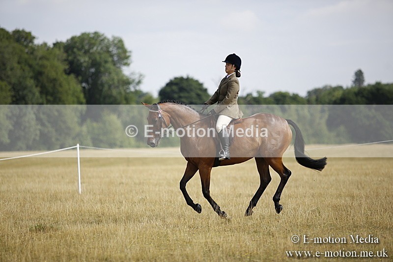 _C7A9308 - BVRC Show 2018 Ring 1